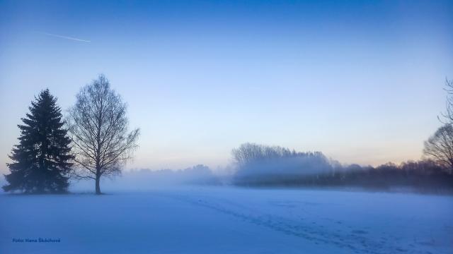 zasněžená krajina